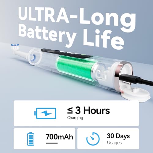 SEAGO Rotating Electric Toothbrush for Adults, 8 Heads, Rechargeable Pink 1 Count (Pack of 1)