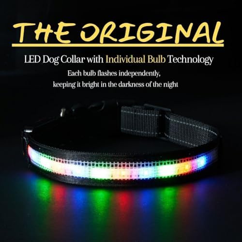 Light Up Dog Collar,Led Dog Collar,Rechargeable Waterproof Led Dog Collar with Remote,Led Dog Collar Breakaway,Glow in Dark Led Dog Collar,Dog Lights for Night Walking（Small） - BeesActive Australia