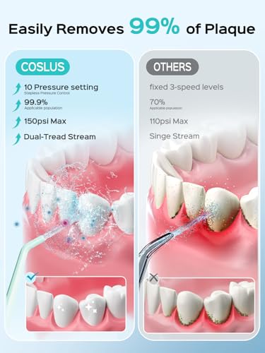 Water Dental Flosser Teeth Pick 10 Levels Smooth Control & Water Dental Flosser Tip Replacement Heads