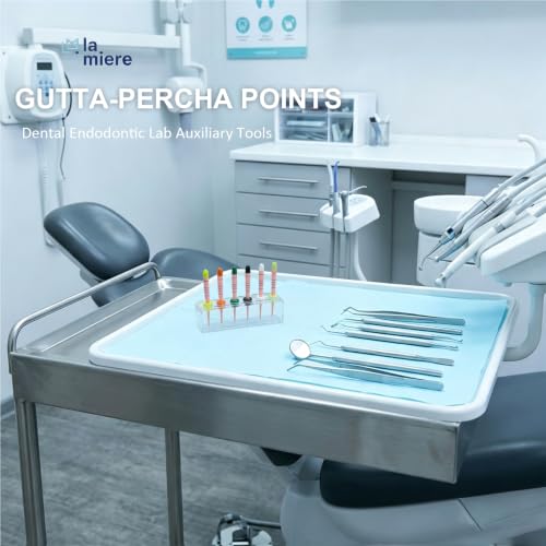 LA MIERE Dental Gutta Percha Points .04 Taper, #15-40 with mm Mark, 60P .04 w/ mark 60