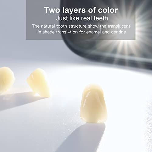 JMU 112 Pcs Dental Acrylic Resin Denture Teeth Shade A1 T8-4 Sets, False Teeth for Replacement, Halloween, DIY (28 Pcs/Set) T8, 4 Set