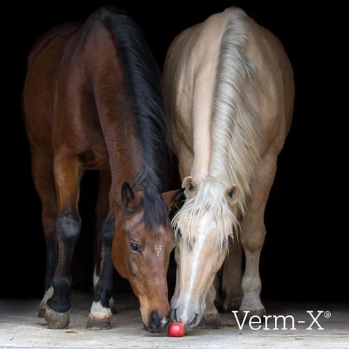 Verm-X All Natural Liquid for Horses and Ponies. Supports Intestinal Hygiene. Vet Approved. UFAS Assured.  Restores and Maintains Gut Vitality. Wormwood Free Recipe., clear,500ml