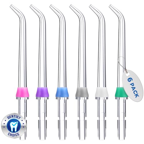 for Waterpik Replacement Heads, and Aluminum Electric Toothbrush Travel Case