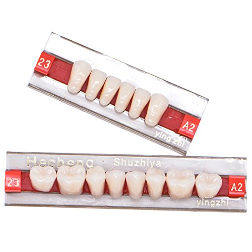 84 Pcs Dental Complete Acrylic Resin Denture False Teeth 3 Sets Synthetic Polymer Resin Denture Teeth 23 Shade A2 Upper + Lower Dental Materials