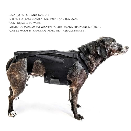 Luqeeg Dog Back Bracer for Spinal Surgery Recovery, Herniated Disc, Arthritis - Adjustable Support with Gentle Pressure, Comfortable &, Ideal for Dogs, (M)