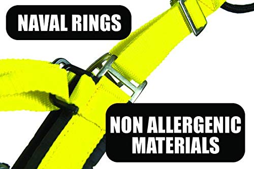 Neewa Adjustable Sled Pro Harness (Medium, Blue), Dog Harness Large Breed, Dog Pulling Harness, Giant Dog Harness, Sled Harness for Pulling, Great for Dog Joring Medium - BeesActive Australia