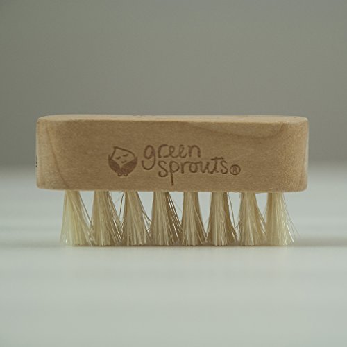 green sprouts Nail Brush