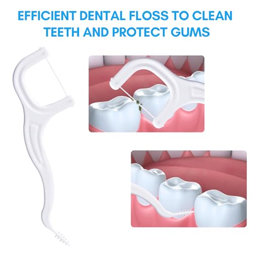 FAMILIFE Floss Picks, 440 Count Unflavored Dental Floss Picks, Tooth Picks Flossers with 8 Travel Handy Cases, Helps to Fight Tooth Decay and Keep Your Teeth Clean, Floss Sticks for Family