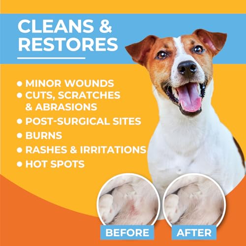 Paw Science Skin & Wound Care Spray for Dogs & Cats – Lick-Safe Antiseptic Healing Aid, Itch Relief & Skin Repair Treatment for Hot Spots, Rashes, Cuts, Burns, & Irritation