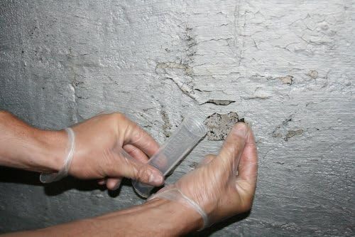 Lead Test Kit in Paint, Dust, or Soil 1PK (5 Bus. Day) Schneider Labs Lead 1 Pack 5 Day - BeesActive Australia
