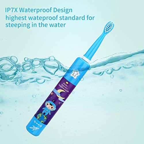 OJV 8620 Musical Electric Toothbrushes & 2 Pack Replacement Toothbrush Heads (Bule)