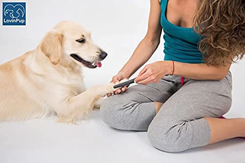 Dog Nail Filer, Professional Nail Grooming Tool, Dog and Cat Nail Files, for Smoothing Rough Edges of Pet’s Nails, Best Nail Filer for Small/Large Dogs & Cats (1 Dog Nail Filer) 1 Dog Nail Filer - BeesActive Australia