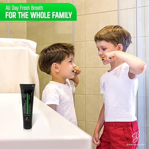Natural Toothpaste w Nano Colloidal Silver 3.4oz - Refresh Mint - Pack of 2 3.4 Ounce (Pack of 2)