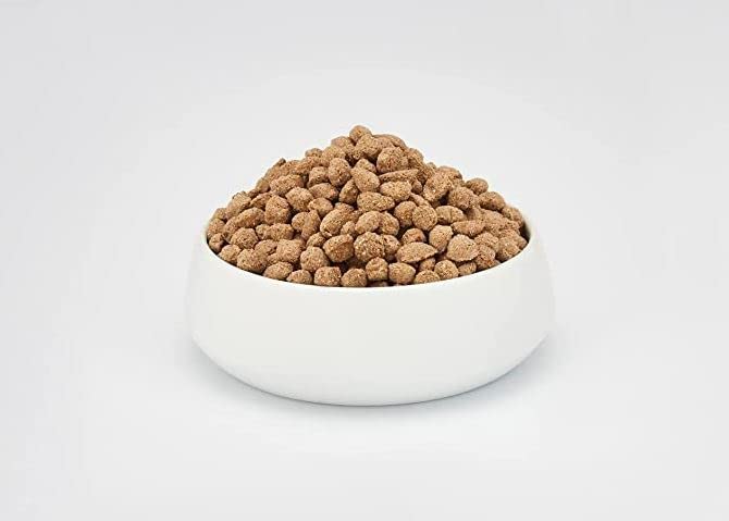 beaphar - Care+ Rabbit - for rodents and small mammals - with spirulina, vitamin E, Yucca Schidigera, Omega-3 and 6 - supports immune system and digestion, promotes tooth wear - 5 kg 5 kg (pack of 1) - BeesActive Australia