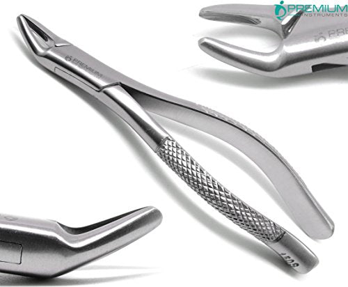 2 Pcs Dental Extracting Forceps 150s 151s Upper Lower Molar — ISO 9001 | CE Marked — Premium Instruments