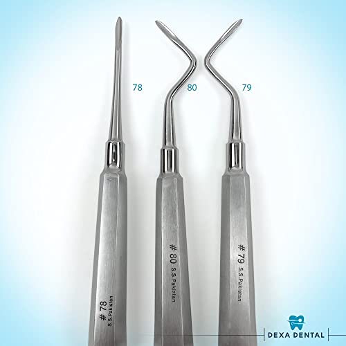 Root Elevator Set – Luxating Periotome, Apical Molt Osteotome, Root Extraction Instruments, Professional Oral Implant Tools - 3 Pcs 3 Pcs Set