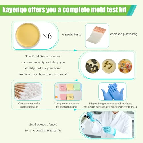 Mold Test Kit for Home - 6 Simple Detection Tests,Test HVAC System,Home Surfaces,&Indoor Air Quality Testing Kits,DIY black Mold Detector at Home,Includes Detailed Mold Identification Guide,air Tester