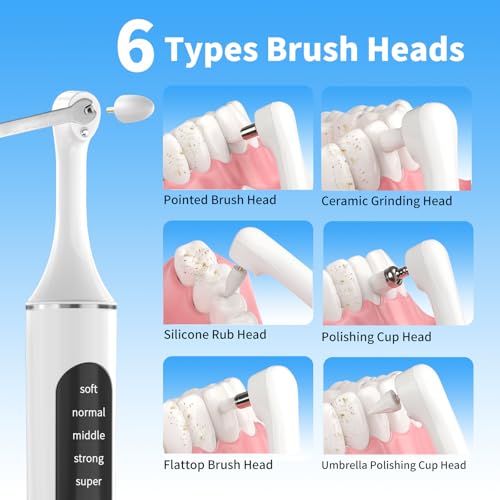 Tooth Polisher, Rechargeable Teeth Cleaning Tools for Tooth Polish and Whitening, Electric Teeth Cleaner with 3 Pastes, 5 Speeds, 6 Heads & LED Light, Waterproof Personal Dental Care Kit for Home Use White