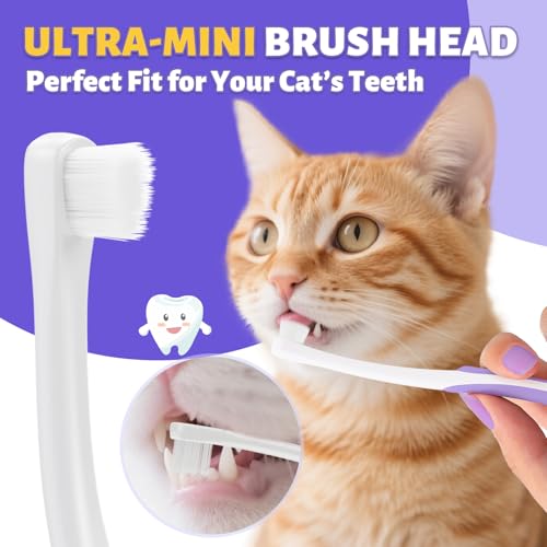 Cat Toothbrush for Kitten Teeth Cleaning + Natural Coconut Oil Cat & Dog Toothpaste