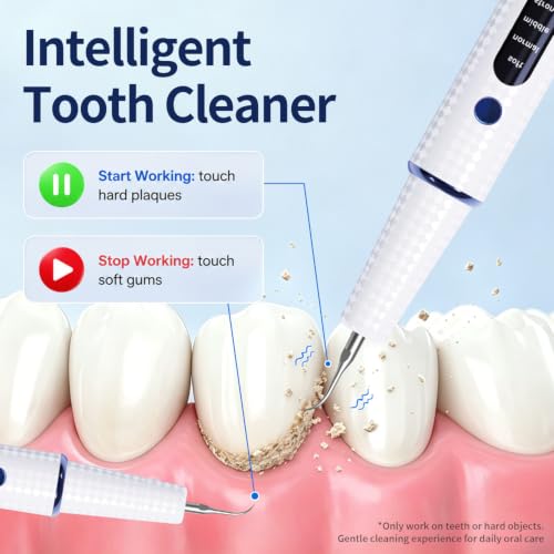 Plaque Remover for Teeth, Tartar Remover with LED Light