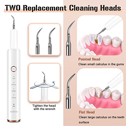 Plaque Remover for Teeth, Electric Tartar Remover for Teeth with LED Light,4 Modes Rechargeable