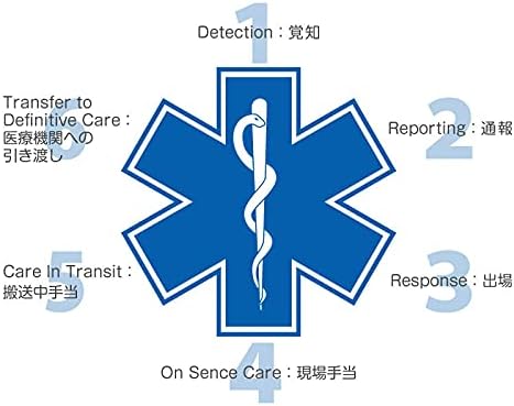Emergency Lifesaving Star of Life Certification Ideal for stockpiling Set of 3 5 liter oxygen cans - BeesActive Australia