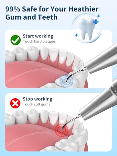 Plaque Remover for Teeth - Teeth Cleaning Kit Tartar Remover for Teeth with LED Light & 5 Adjustable Modes, USB C Rechargeable, 4 Replaceable Heads&6 Dental Tools, IPX7 Waterproof for Home Use