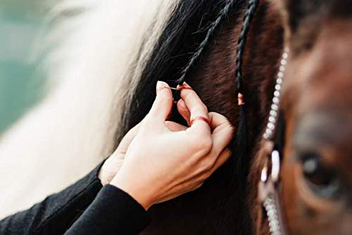 Animalon mane rubbers made of silicone | Braiding elastics for horse hairstyles | gentle braiding with tear-resistant mane elastics | Ideal tournament accessories for horses (300 pieces, brown) 300 pieces (pack of 1) - BeesActive Australia