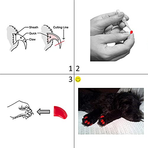 40-Pack Soft Nail Caps for Dogs Claws Clear XXL - BeesActive Australia