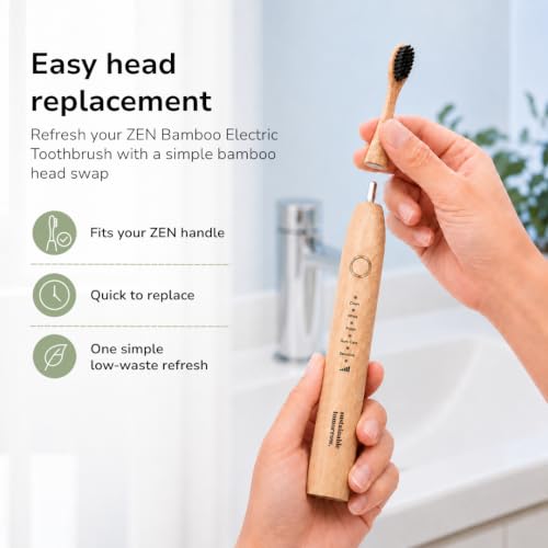 Sustainable Tomorrow Zen Bamboo Toothbrush Replacement Head – 3 Pack | Eco-Friendly Bamboo Bristles Head | Sustainable, Plastic-Free Oral Care | Compatible with Zen Toothbrush 1 Count (Pack of 3)