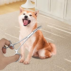 Hemostat Pliers, Stainless Steel Pet Dog Grooming Ear Cleaning Clamp Dog Cat Scissors Hair Clip Tool Curved Tip Non-Slip Locking Tweezers Removing Dog Ear Hair Care Tools Small - BeesActive Australia