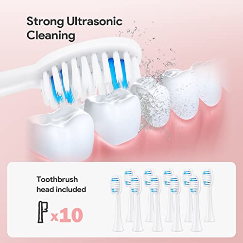 Dnil 2-Pack Rechargeable Sonic Toothbrush for Adults, Long-Lasting Battery Operated, 35,000 VPM Fast Brushing, Includes 10 Brush Heads and 5 Mode Options for Personalized Oral Care (White & Pink)