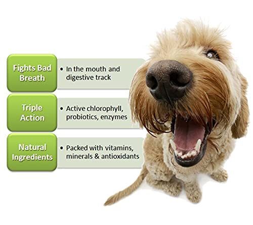 Fresh Breath TABS- chewable Breath Mints for Dogs. Triple-Action Oral Hygiene Harnesses the Power of Chlorophyll to Fight Bad Breath and Stomach Distress. Made in USA, 90 Count