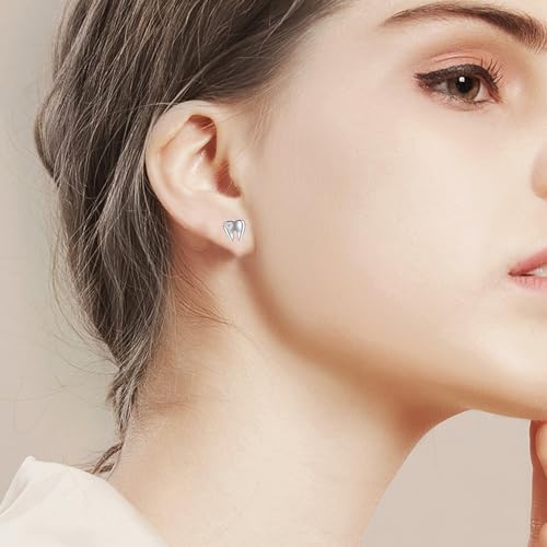 YAFEINI Tooth Earrings Dental Gifts 925 Sterling Silver Heart Tooth Stud Earrings Tooth Jewelry for Women Girls tooth cz earrings