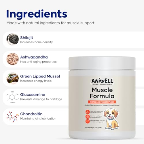 NutriFlo 10-in-1 Dog Multivitamin + Muscle Formula | Glucosamine, Green Lipped Mussel & Shilajit | Hip & Joint, Gut & Muscle Support | for All Dog Breeds