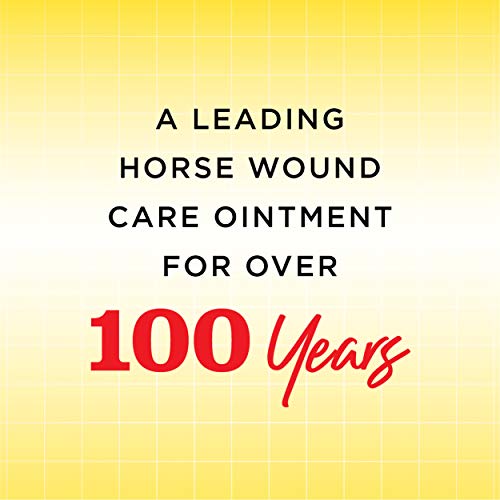 Manna Pro Corona Ointment for Horses | Lanolin-Based Formula Helps Sooth Irritation | 14 Ounces 14 Ounce (Pack of 1)