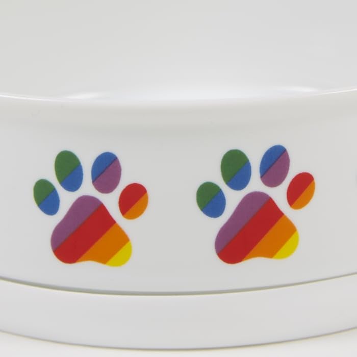 Bone Dry Ceramic Food & Water Bowls for Pets Non-Slip for Secure, Less Messy Feeding, Microwave & Dishwasher Safe, Small Set, 4.25x2, Rainbow Paw, 2 Count Small Set, 4.25x2" - BeesActive Australia