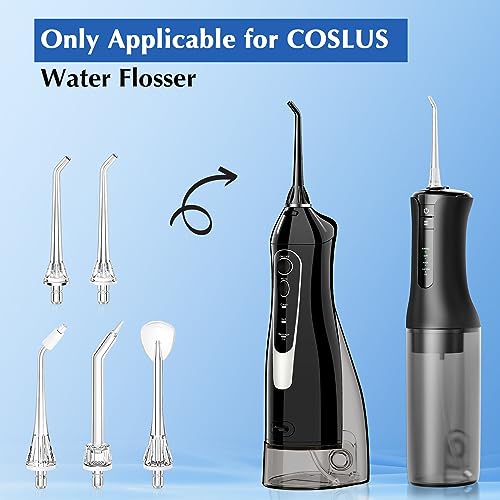Water Dental Flosser Teeth Pick 10 Levels Smooth Control & Water Dental Flosser Tip Replacement Heads