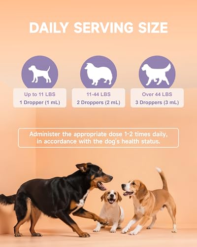 Pumpkin for Dog Supports Digestion, Gut Health - Mushroom for Dogs with Turkey Tail Mushroom for Dogs, Lion’s Mane, Shiitake