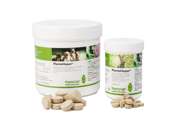 PlantaVet PlantaHepar 200mg | 200 tablets | Supplementary feed for small animals | May help support pancreatic and liver metabolism | With licorice root - BeesActive Australia
