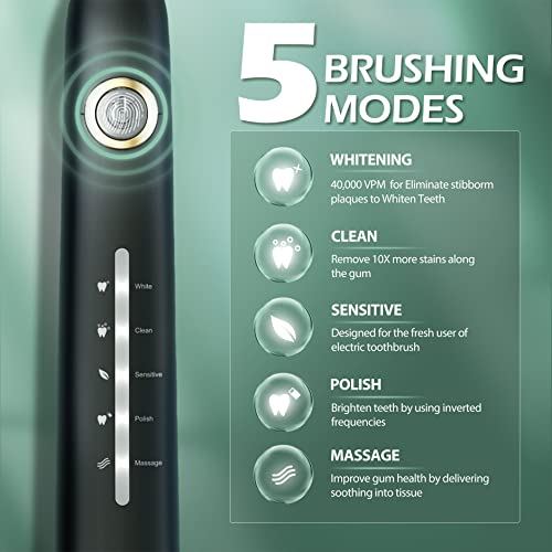 TEETHEORY Electric Toothbrush for Adults with 8 𝐁𝐫𝐮𝐬𝐡 𝐇𝐞𝐚𝐝𝐬 and 6 Replacement Brush Heads