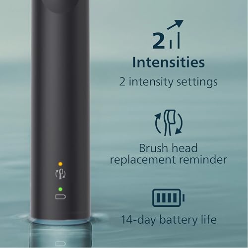 Phillips Sonicare Sonicare ProtectiveClean Removes up to 7x More Plaque, Long lasting 4 day Battery Life Rechargeable Electric Toothbrush, White/Grey 1 Count (Pack of 1)