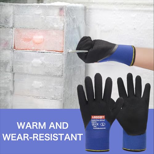 LOCCEF 2 Pairs Winter Work Gloves, Thermal Freezer Gloves Blue 10/XL