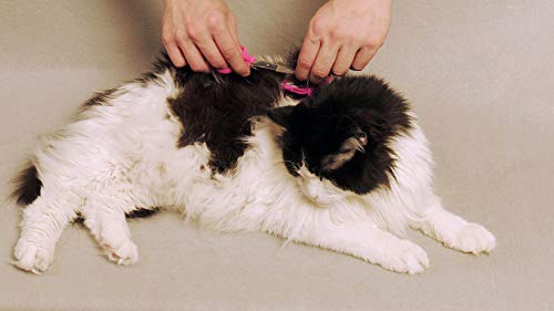 SCAREDY CUT Silent Pet Grooming Kit for Dog, Cat and All Pet Grooming - A Quiet Alternative to Electric Clippers for Sensitive Pets (Right-Handed Pink) 16pc Right-handed Pink