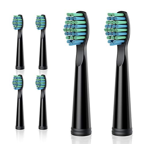 TEETHEORY Electric Toothbrush for Adults with 8 𝐁𝐫𝐮𝐬𝐡 𝐇𝐞𝐚𝐝𝐬 and 6 Replacement Brush Heads