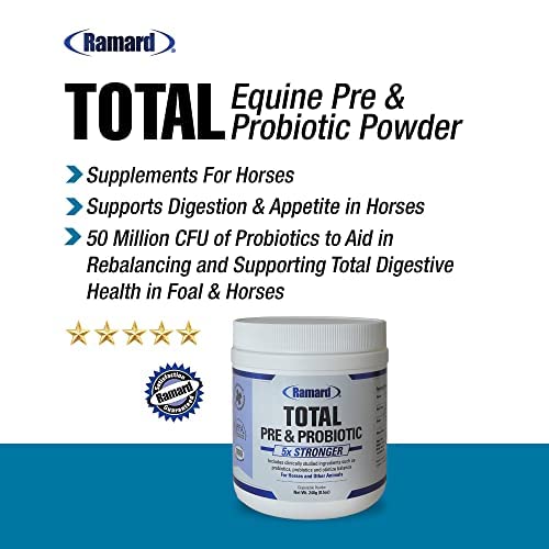 Total Prebiotic & Probiotic Equine Formula - Natural Digestive Supplement for Horses Optimal Gut Health, Nutrient Absorption, Foal Support Pro & Pre Biotics for Livestocks and Horse 8.5 oz Jar 8.5 oz, Jar - BeesActive Australia