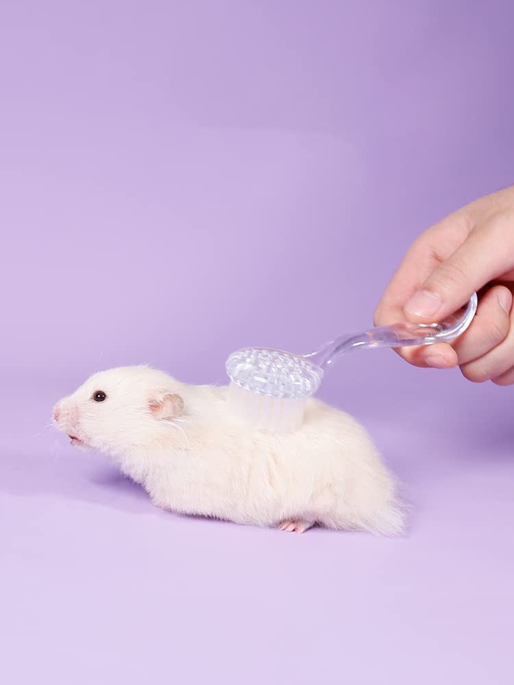 3 Pack Hamster Brush - Small Animal Bath Brush with Lid Soft Cleansing Brush Massage Combs for Hedgehog Guinea Pig Rabbit Chinchilla Ferret Small Animal Grooming Tool Cleaning Supplies (3 Pack) 3 Pack - BeesActive Australia
