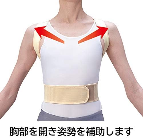 Nakayama Sangyo Nakayama Spine Medicine Kyosei Belt Mesh, L - BeesActive Australia