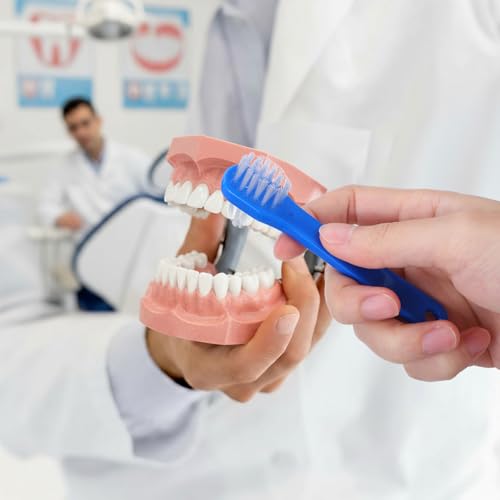 60 Pcs Denture Brush Set, Dual-Headed Firm Bristle Denture Toothbrush for Cleaning False Teeth, Retainers, Braces, Oral Appliances - Individually Packed Denture Brushes