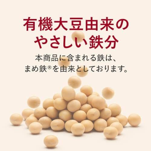 Fasting Mate Ferritin Iron Supplement, Mame Iron, Derived from Organic Soybeans, High Iron Content, 10mg (per 2 tablets), 60 tablets, Approximately 30-60 days supply, Functional Nutrition Food, Stored Iron, Ferritin Iron Excellent - BeesActive Australia